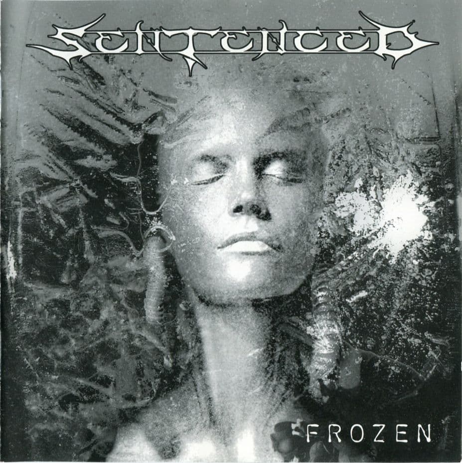 Frozen cover