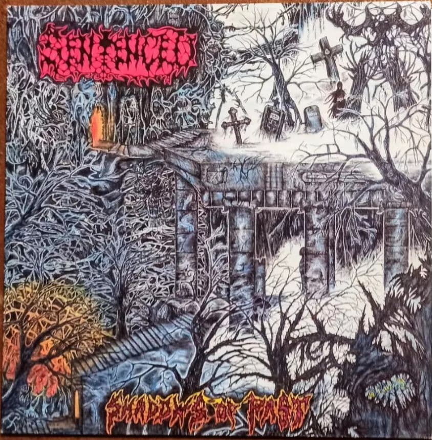 Shadows of Past cover