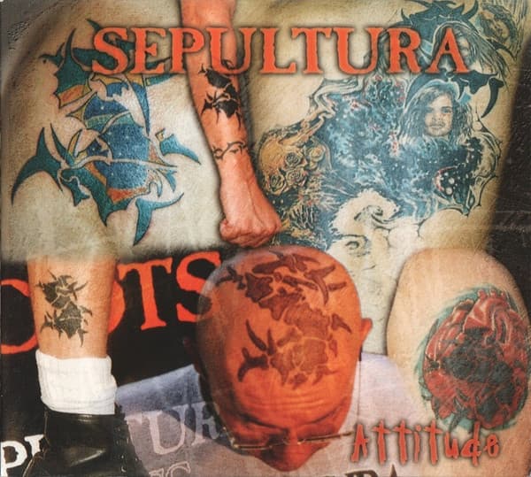 Attitude cover