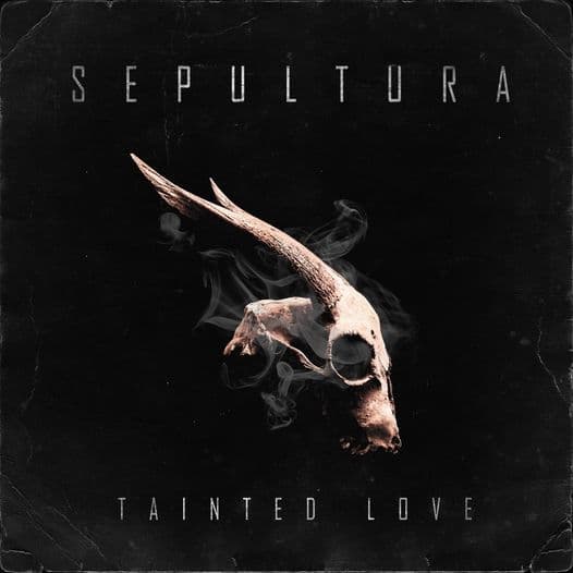 Tainted Love cover