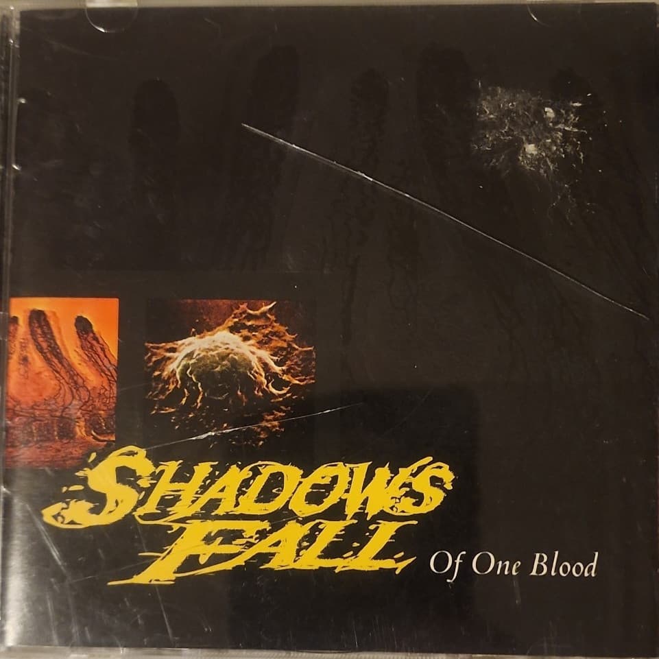 Of One Blood cover