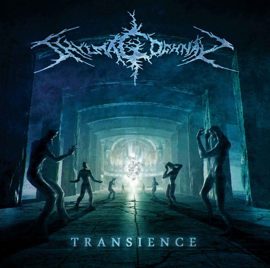 Transience cover