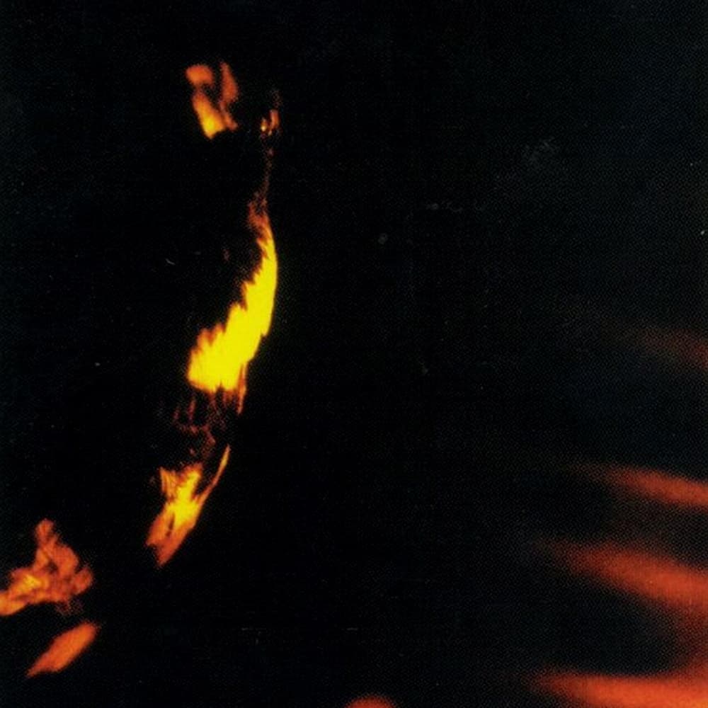 Stormcrowfleet cover