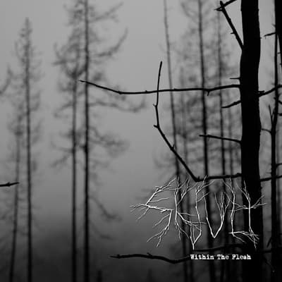 Within the Flesh cover