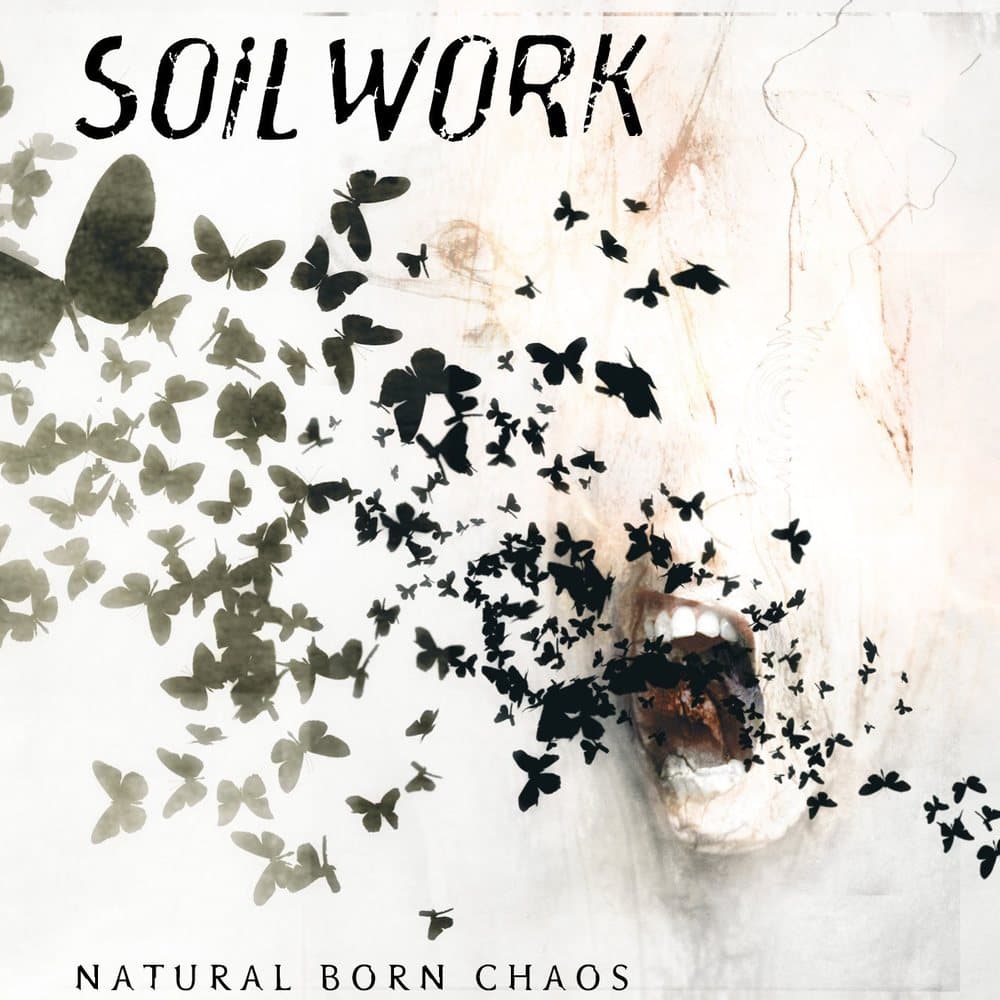 Natural Born Chaos cover