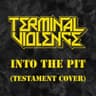 Into the Pit