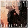 Solastalgia