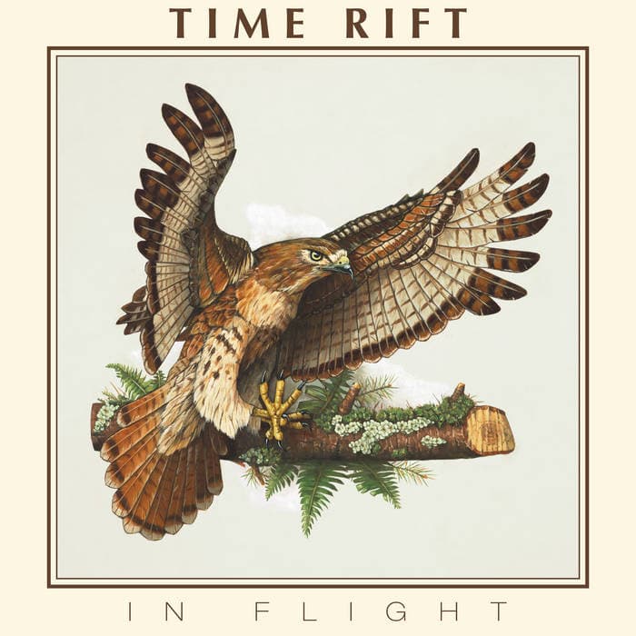 In Flight cover