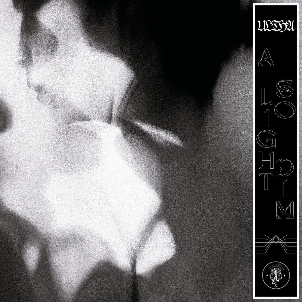 A Light So Dim cover