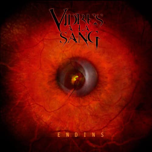 Endins cover