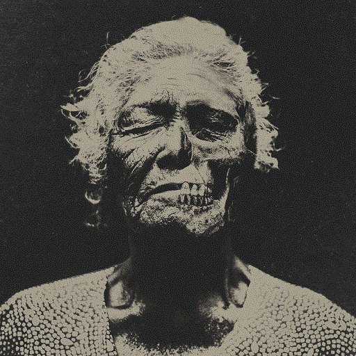 Virtut del desencís cover