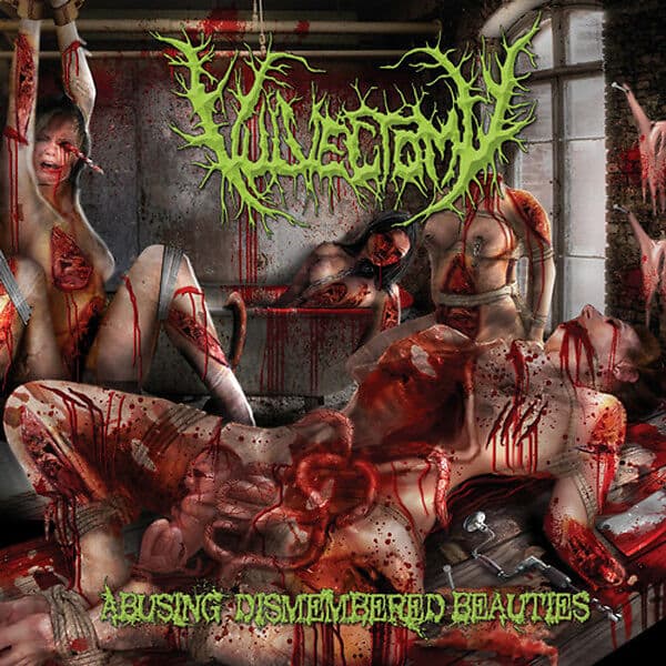 Abusing Dismembered Beauties cover