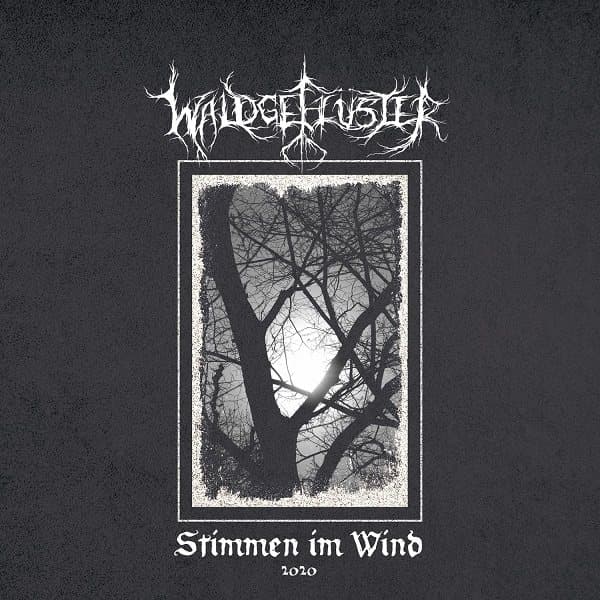 Stimmen im Wind 2020 cover