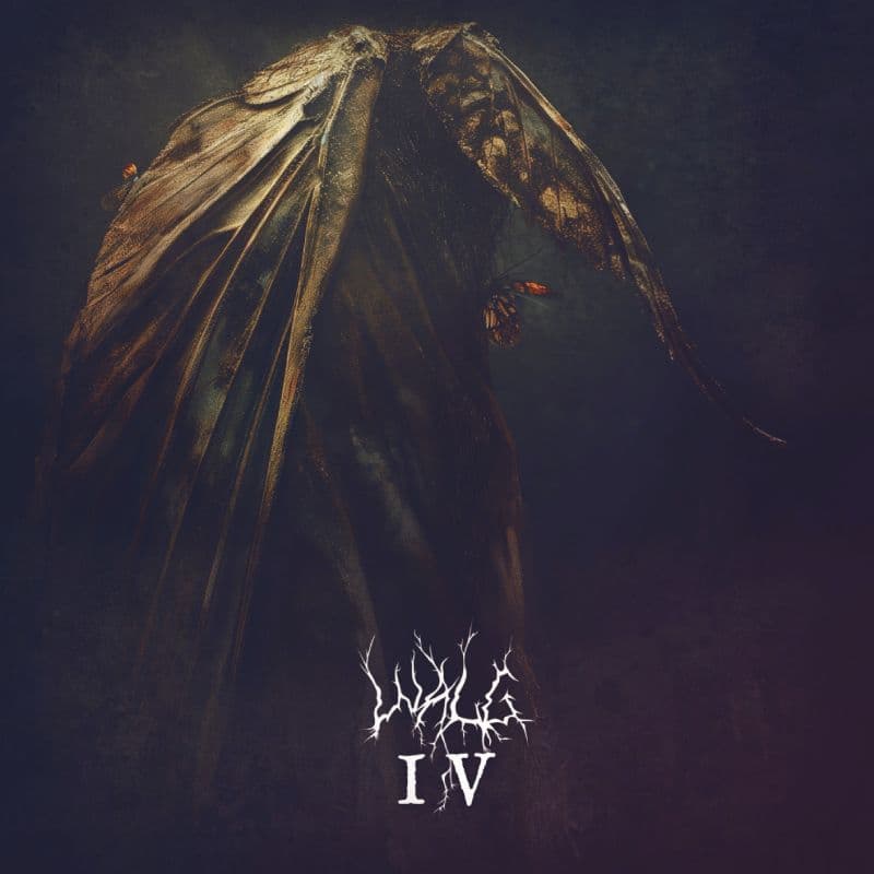 IV cover