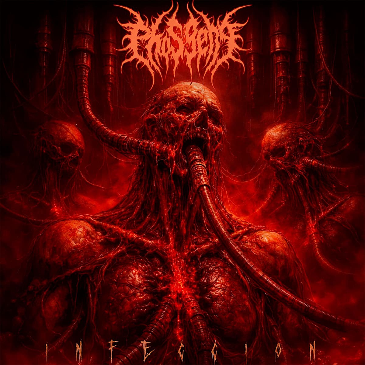 Infección cover