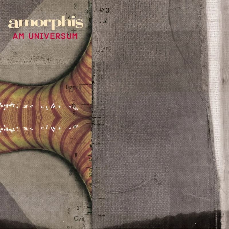 Am Universum cover