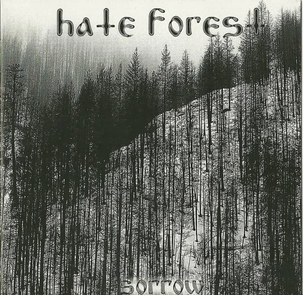 Sorrow cover