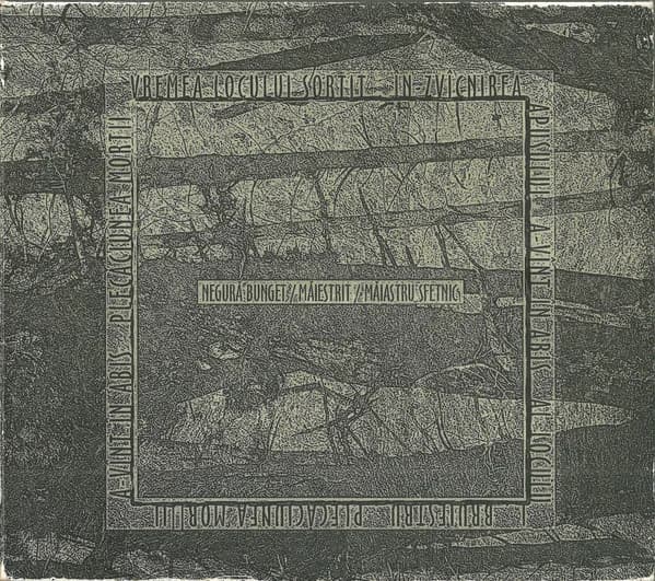 Măiestrit cover