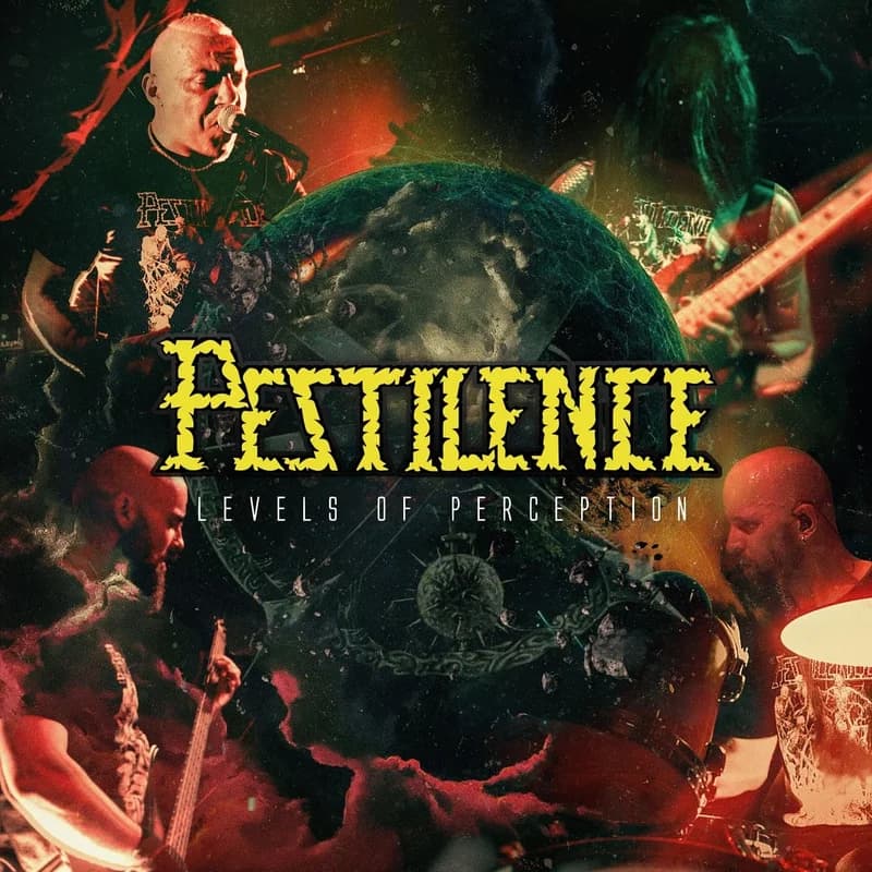 Levels of Perception cover