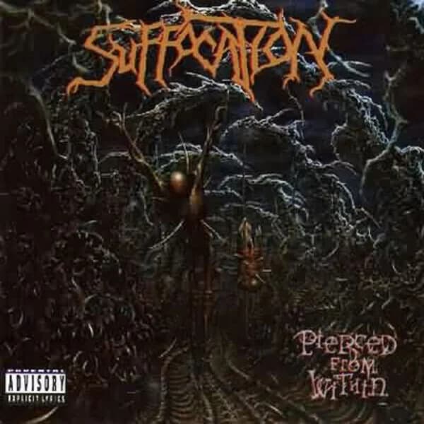 Pierced from Within cover