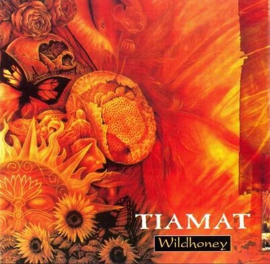 Wildhoney cover