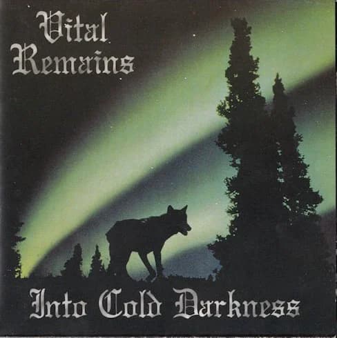 Into Cold Darkness cover