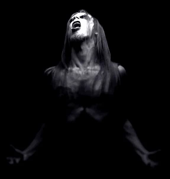 Taake
