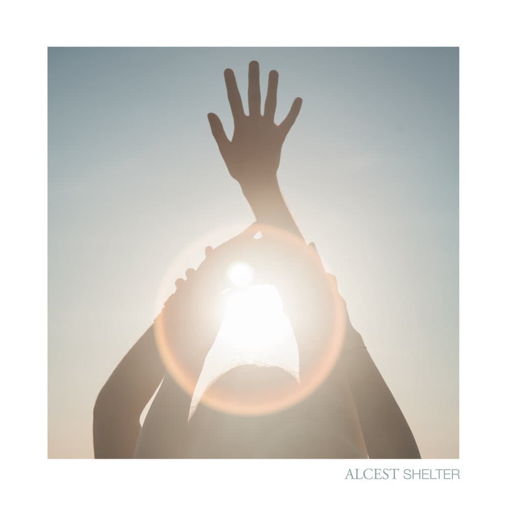 Shelter cover