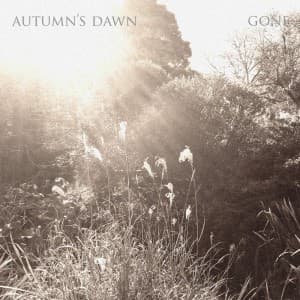 Gone cover