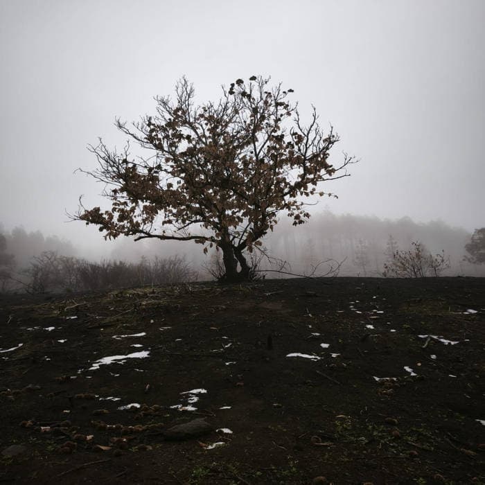 Autumn Beckons Winter cover