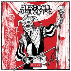 The Fool cover