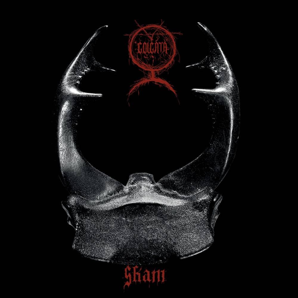 Skam cover
