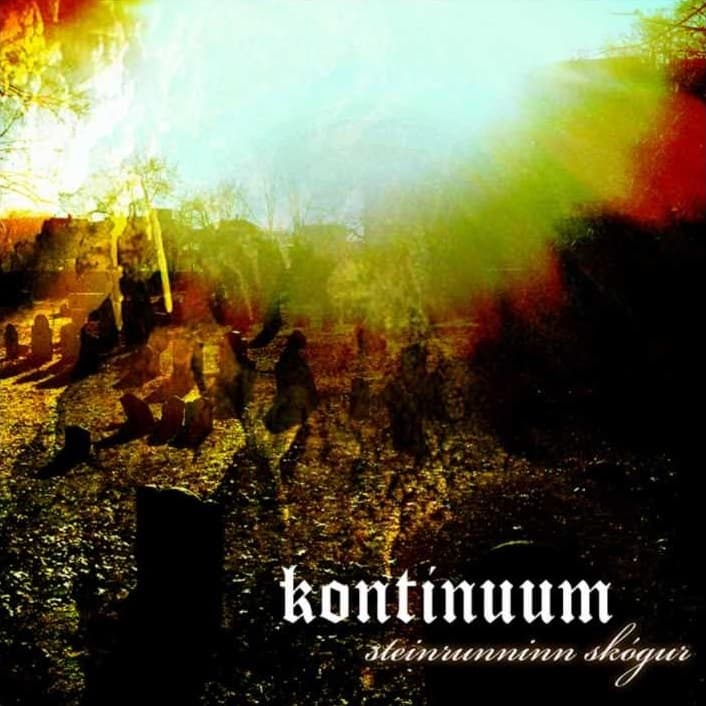 Steinrunninn skógur cover