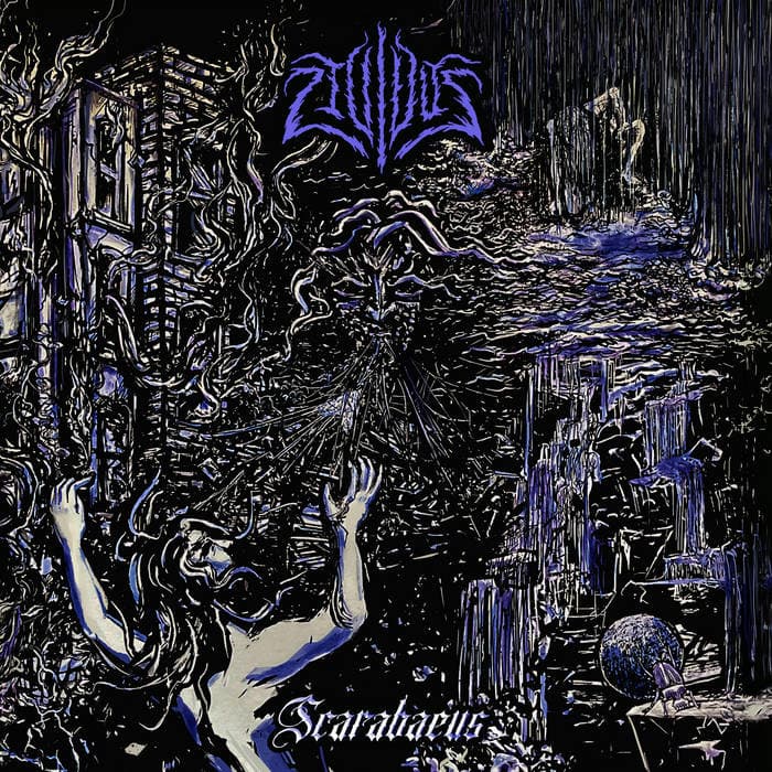 Scarabaeus