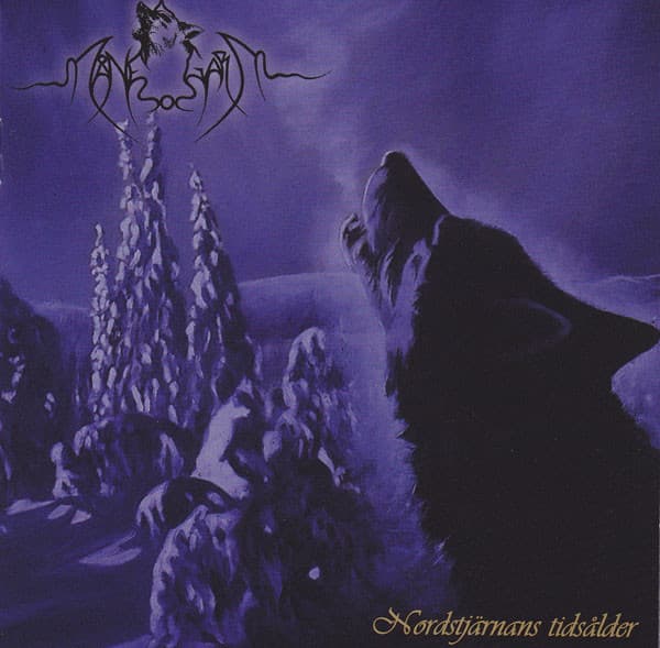Nordstjärnans tidsålder cover