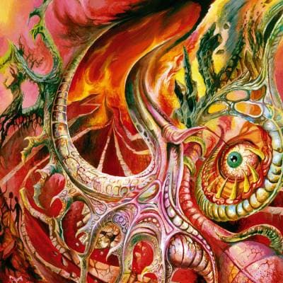 Sleepers in the Rift cover