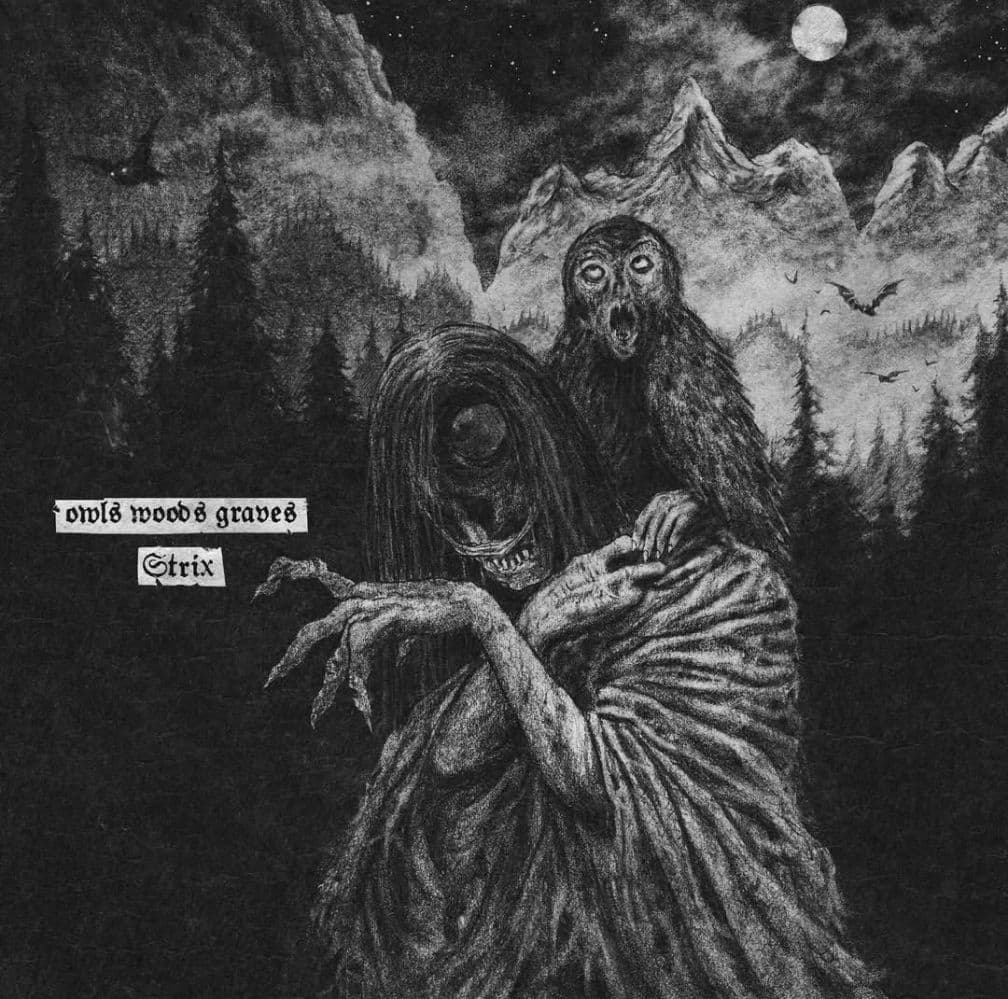 Strix cover