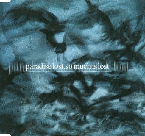 So Much Is Lost cover