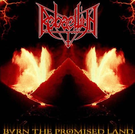 Burn the Promised Land cover