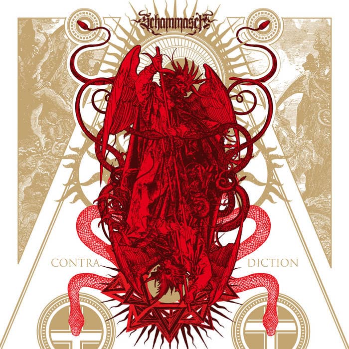 Contradiction cover