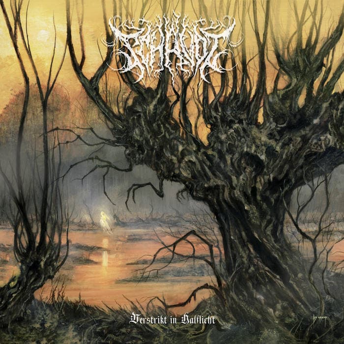 Verstrikt in halflicht cover
