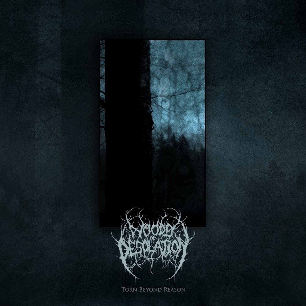 Torn Beyond Reason cover