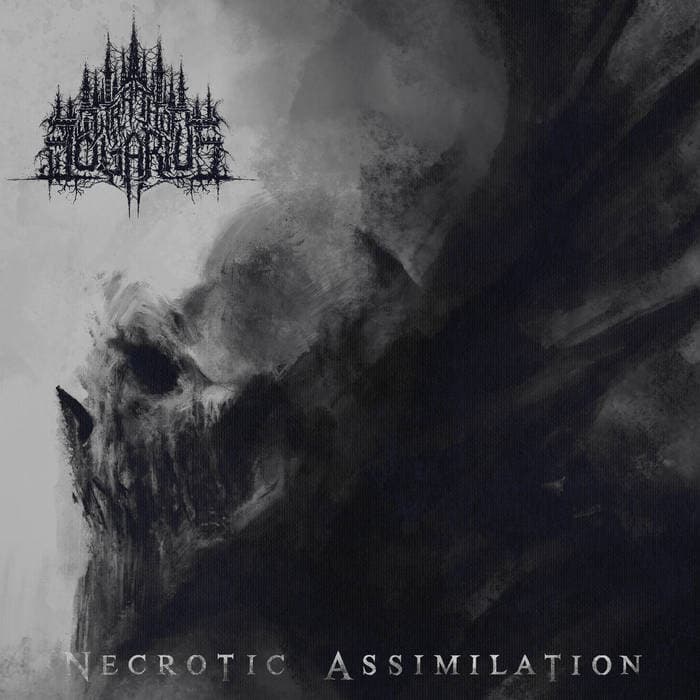 Necrotic Assimilation cover