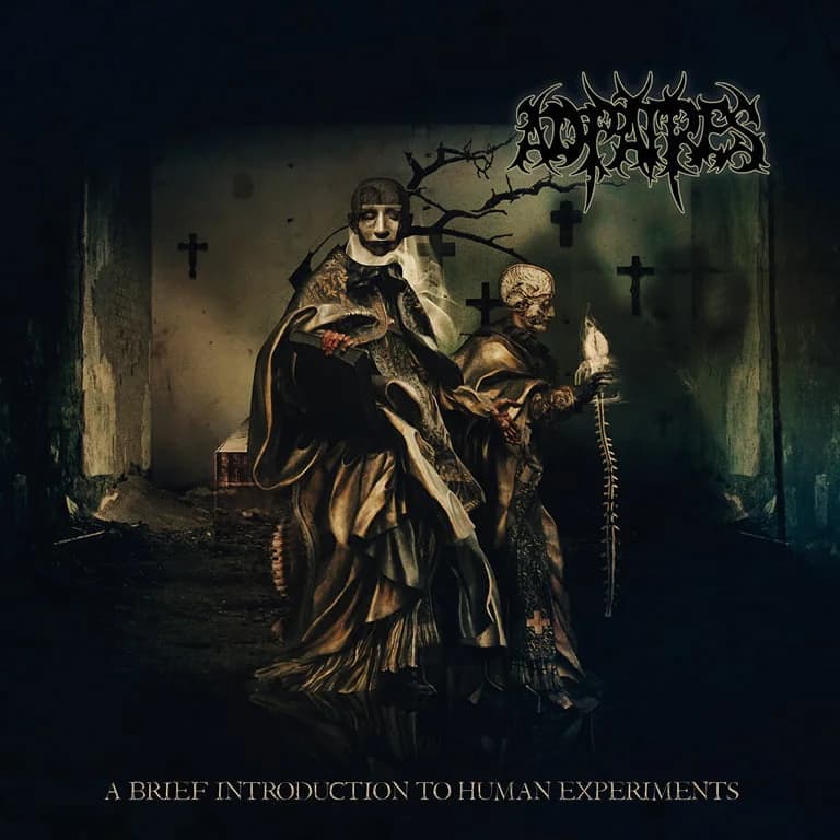A Brief Introduction To Human Experiments cover