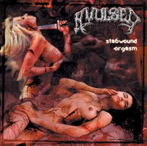 Stabwound Orgasm cover