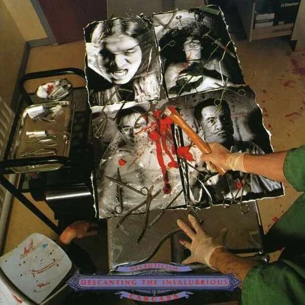 Necroticism – Descanting the Insalubrious cover