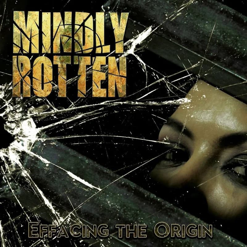 Effacing the Origin cover