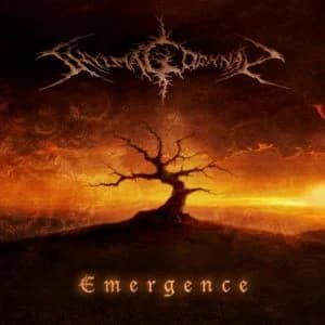 Emergence cover