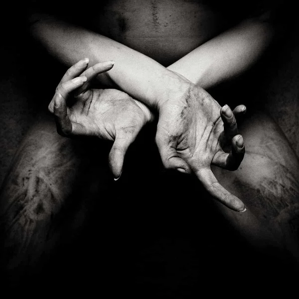 X: Varg utan flock cover